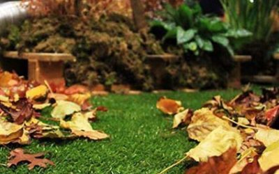MANTENIMIENTO DE NUESTRO CESPED ARTIFICIAL EN OTOÑO