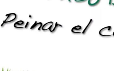 ¿POR QUÉ PEINAR NUESTRO CESPED ARTIFICIAL?