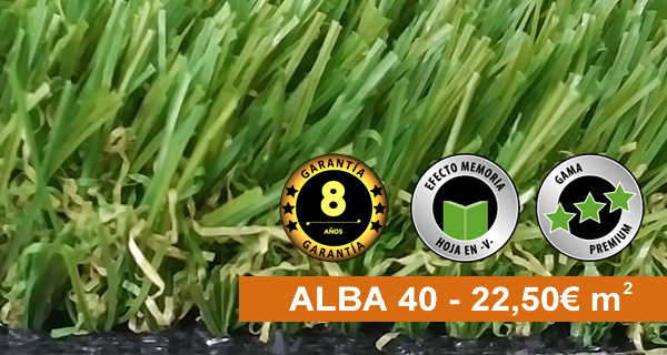 ALBA 40