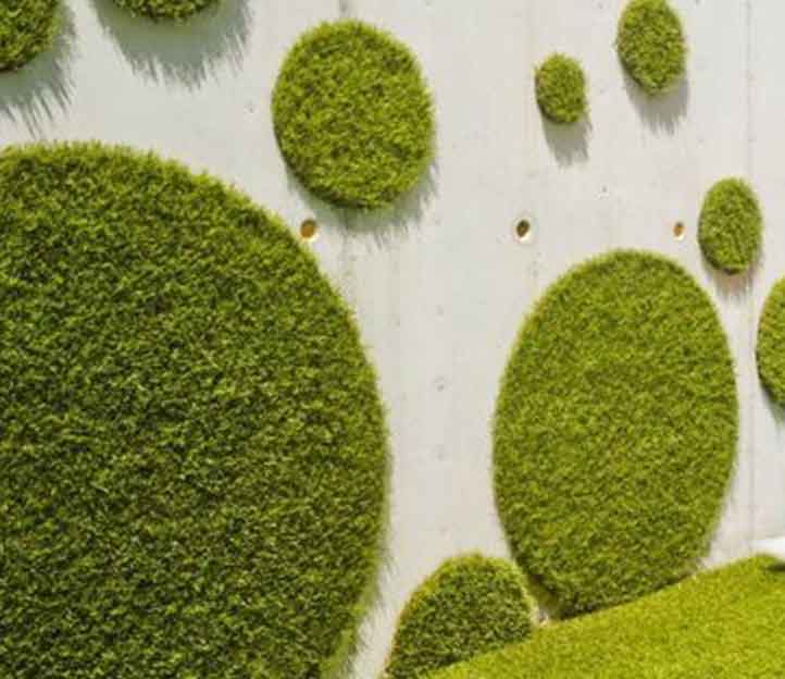 jardin vertical cesped artificial ejemplo pared jardin vertical cesped artificial ejemplo pared