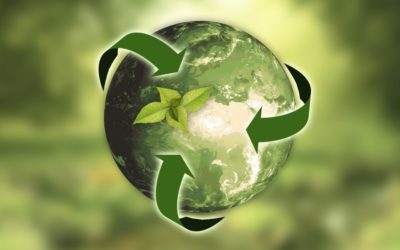 ¿SABIAS QUE EL CÉSPED ARTIFICIAL TIENE UN IMPACTO POSITIVO EN EL MEDIO AMBIENTE?