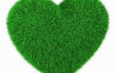 7 Beneficios del césped artificial.