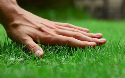 ¿Cuanto dura nuestro césped artificial?
