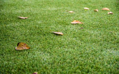 ¿Qué cuidados necesita nuestro césped artificial durante el otoño?
