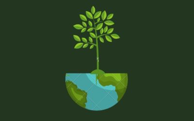 Césped artificial y su impacto medioambiental.
