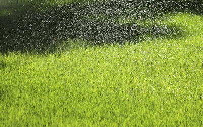¿La lluvia puede afectar a nuestro césped artificial? Conoce la importancia de un buen drenado.