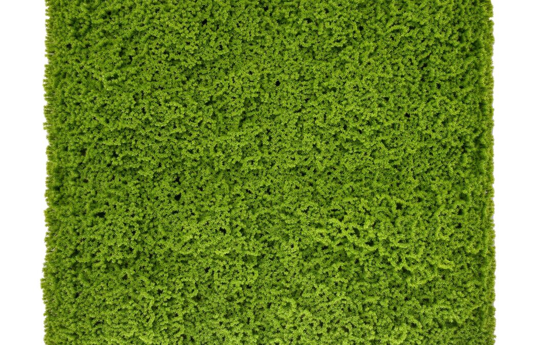 JARDÍN VERTICAL MUSGO